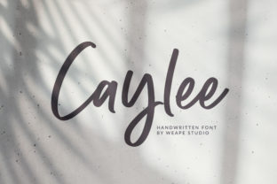 Caylee Script: Crafting a Charming and Modern Brand Voice