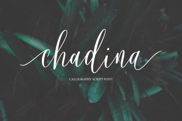 Chadina Script: Where Timeless Romance Meets Modern Design