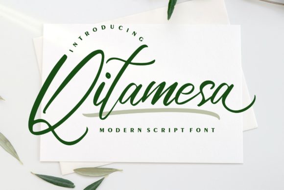Qitamesa Script: A Modern Calligraphy Font for Elegant Design